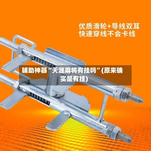 辅助神器“天涯麻将有挂吗”(原来确实是有挂)-第1张图片