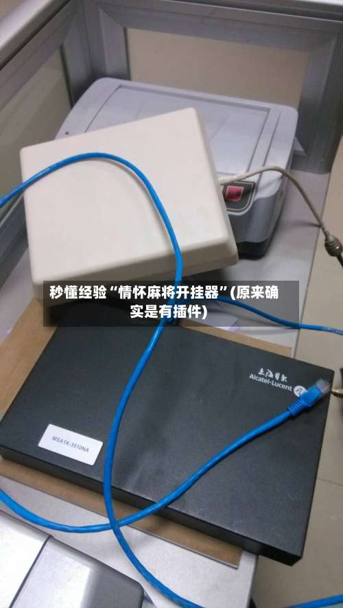 秒懂经验“情怀麻将开挂器”(原来确实是有插件)-第2张图片