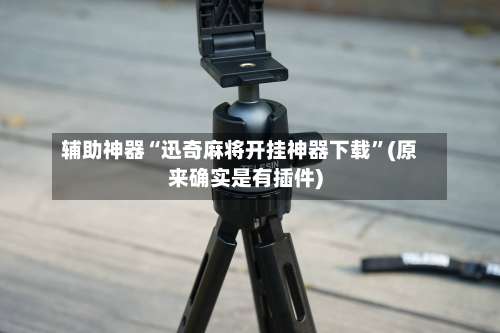 辅助神器“迅奇麻将开挂神器下载”(原来确实是有插件)-第2张图片