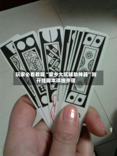 玩家必看教程“家乡大贰辅助神器”附开挂脚本详细步骤-第2张图片