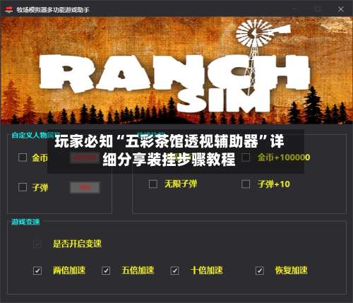 玩家必知“五彩茶馆透视辅助器	”详细分享装挂步骤教程-第2张图片