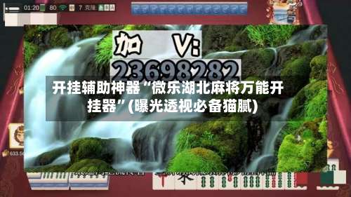 开挂辅助神器“微乐湖北麻将万能开挂器	”(曝光透视必备猫腻)-第2张图片