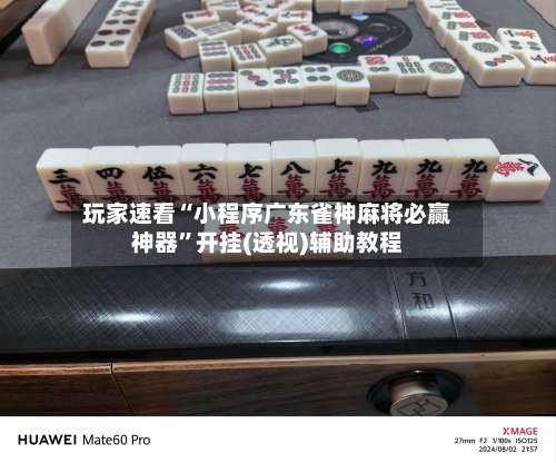 玩家速看“小程序广东雀神麻将必赢神器”开挂(透视)辅助教程-第1张图片