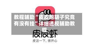 教程辅助“皮皮跑胡子究竟有没有挂	”详细透视辅助教程-第2张图片