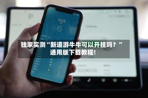 独家实测“新道游牛牛可以开挂吗？”通用版下载教程!-第2张图片
