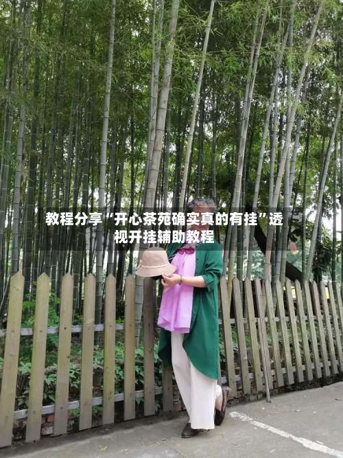 教程分享“开心茶苑确实真的有挂”透视开挂辅助教程-第3张图片