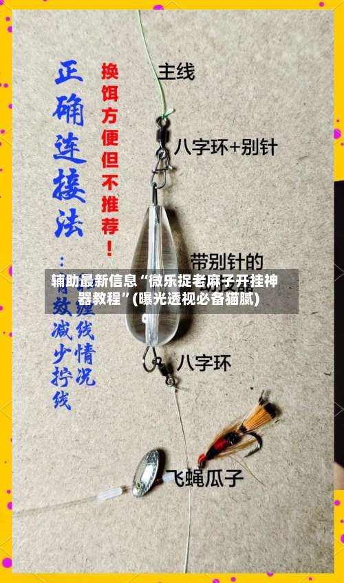 辅助最新信息“微乐捉老麻子开挂神器教程”(曝光透视必备猫腻)-第2张图片