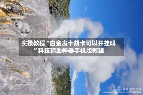 实操教程“白金岛十胡卡可以开挂吗	”科技辅助神器手机版教程-第2张图片