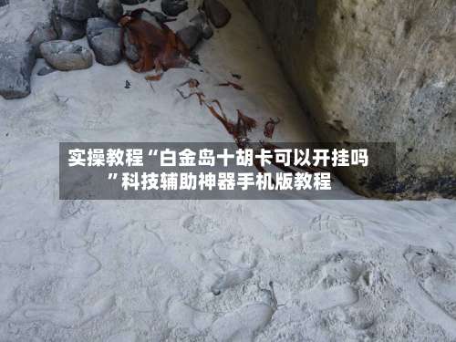 实操教程“白金岛十胡卡可以开挂吗”科技辅助神器手机版教程-第3张图片