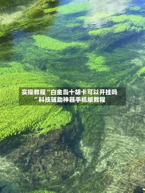 实操教程“白金岛十胡卡可以开挂吗”科技辅助神器手机版教程-第1张图片