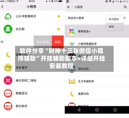 软件分享“财神十三张微信小程序辅助	”开挂辅助脚本+详细开挂安装教程-第1张图片