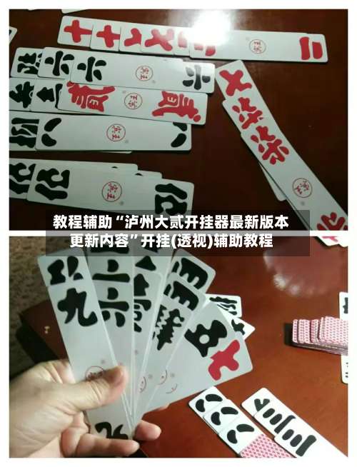 教程辅助“泸州大贰开挂器最新版本更新内容”开挂(透视)辅助教程-第3张图片