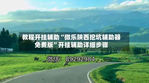 教程开挂辅助“微乐陕西挖坑辅助器免费版”开挂辅助详细步骤-第2张图片