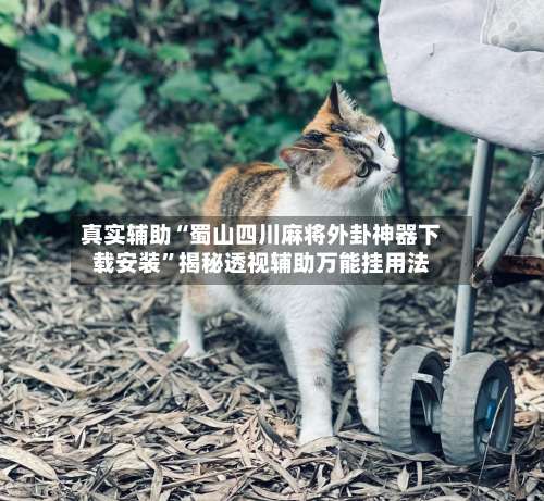 真实辅助“蜀山四川麻将外卦神器下载安装	”揭秘透视辅助万能挂用法-第2张图片