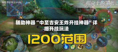 辅助神器“中至吉安王炸开挂神器”详细开挂玩法-第1张图片