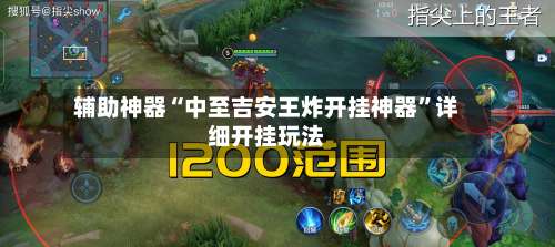 辅助神器“中至吉安王炸开挂神器	”详细开挂玩法-第3张图片