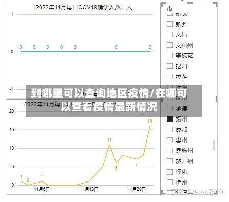 到哪里可以查询地区疫情/在哪可以查看疫情最新情况-第3张图片