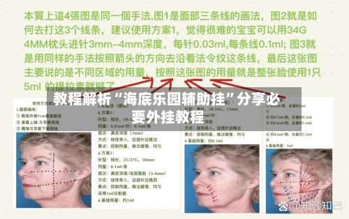 教程解析“海底乐园辅助挂	”分享必要外挂教程-第1张图片