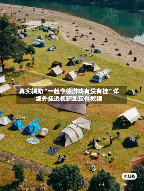 真实辅助“一起宁德游戏有没有挂”详细外挂透视辅助软件教程-第3张图片