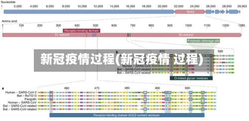 新冠疫情过程(新冠疫情 过程)-第3张图片