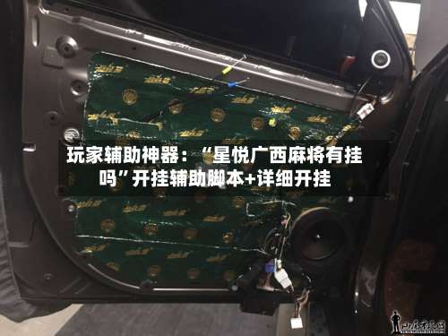 玩家辅助神器：“星悦广西麻将有挂吗”开挂辅助脚本+详细开挂-第3张图片