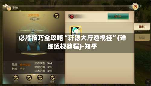 必胜技巧全攻略“轩辕大厅透视挂”(详细透视教程)-知乎-第3张图片