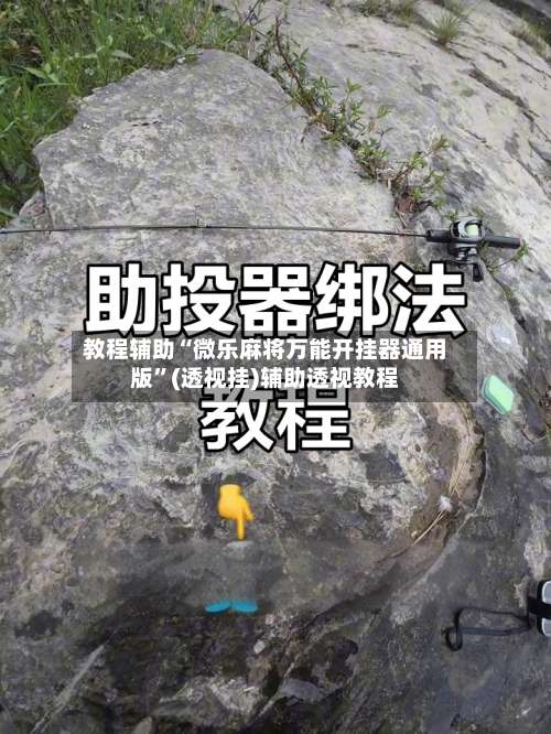 教程辅助“微乐麻将万能开挂器通用版”(透视挂)辅助透视教程-第2张图片