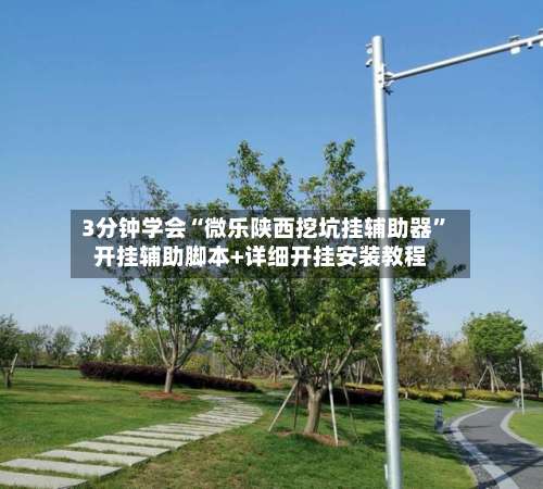 3分钟学会“微乐陕西挖坑挂辅助器”开挂辅助脚本+详细开挂安装教程-第3张图片