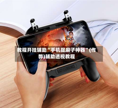 教程开挂辅助“手机捉麻子神器	”(作弊)辅助透视教程-第1张图片