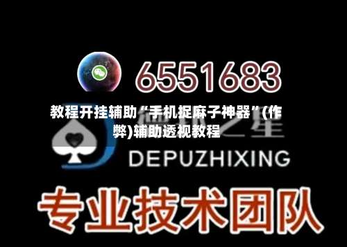 教程开挂辅助“手机捉麻子神器”(作弊)辅助透视教程-第2张图片