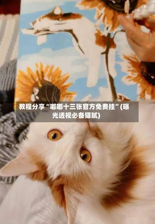 教程分享“嘟嘟十三张官方免费挂”(曝光透视必备猫腻)-第2张图片