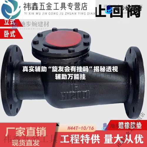 真实辅助“旋友会有挂吗”揭秘透视辅助万能挂-第1张图片