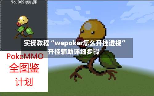 实操教程“wepoker怎么开挂透视”开挂辅助详细步骤-第1张图片