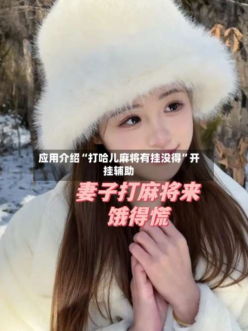 应用介绍“打哈儿麻将有挂没得”开挂辅助-第3张图片