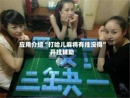 应用介绍“打哈儿麻将有挂没得	”开挂辅助-第2张图片