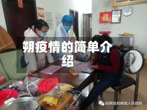 朔疫情的简单介绍-第2张图片