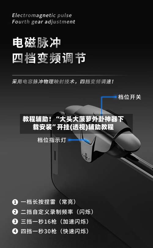 教程辅助！“大头大菠萝外卦神器下载安装”开挂(透视)辅助教程-第3张图片