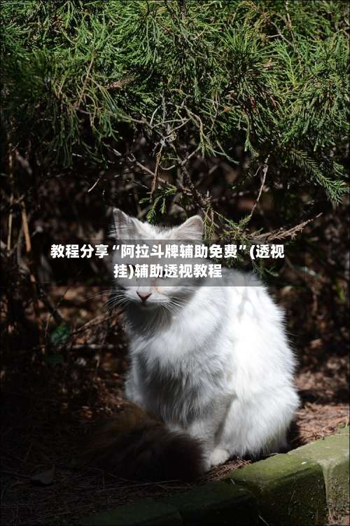 教程分享“阿拉斗牌辅助免费	”(透视挂)辅助透视教程-第1张图片