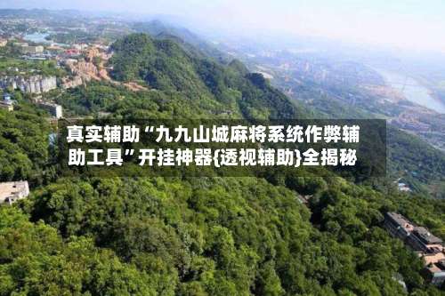 真实辅助“九九山城麻将系统作弊辅助工具”开挂神器{透视辅助}全揭秘-第3张图片