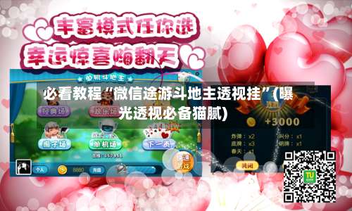 必看教程“微信途游斗地主透视挂”(曝光透视必备猫腻)-第1张图片