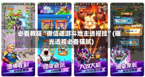 必看教程“微信途游斗地主透视挂	”(曝光透视必备猫腻)-第2张图片