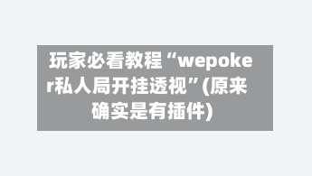 玩家必看教程“wepoker私人局开挂透视”(原来确实是有插件)-第1张图片