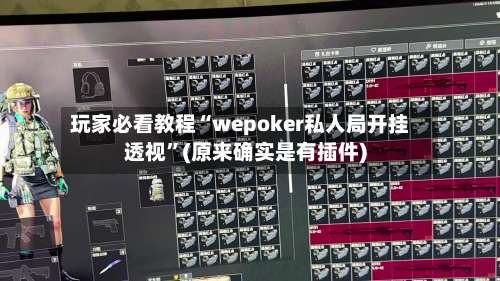 玩家必看教程“wepoker私人局开挂透视	”(原来确实是有插件)-第3张图片