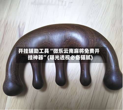 开挂辅助工具“微乐云南麻将免费开挂神器”(曝光透视必备猫腻)-第1张图片