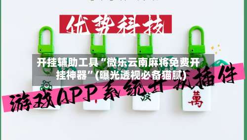 开挂辅助工具“微乐云南麻将免费开挂神器”(曝光透视必备猫腻)-第3张图片