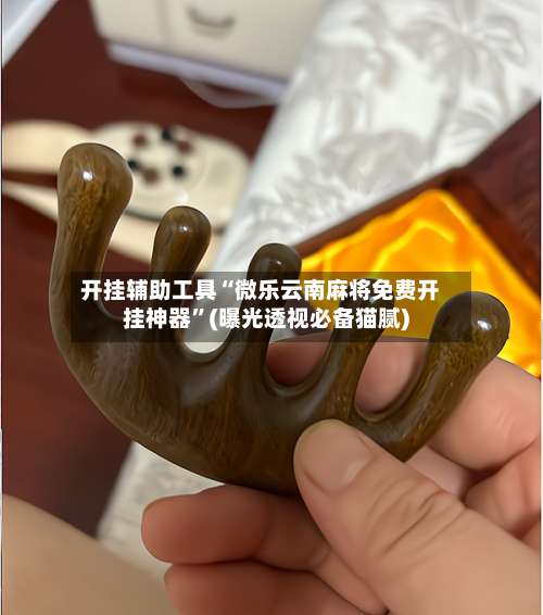 开挂辅助工具“微乐云南麻将免费开挂神器	”(曝光透视必备猫腻)-第2张图片