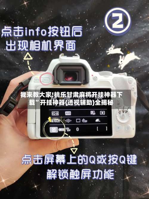 我来教大家!桃乐甘肃麻将开挂神器下载	”开挂神器{透视辅助}全揭秘-第1张图片