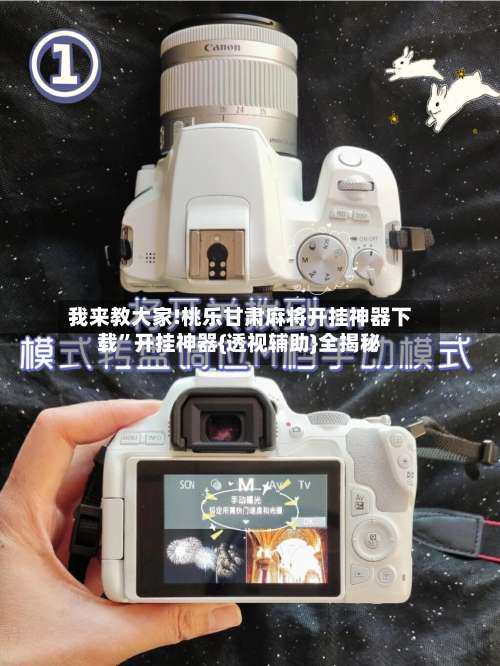 我来教大家!桃乐甘肃麻将开挂神器下载”开挂神器{透视辅助}全揭秘-第2张图片