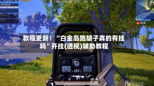 教程更新！“白金岛跑胡子真的有挂吗”开挂(透视)辅助教程-第1张图片