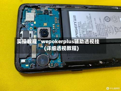 实操教程“wepokerplus辅助透视挂”(详细透视教程)-第1张图片